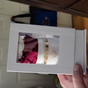 The Million Roses 🌹, Single Rose Collection in L.A. 🌹 lasts 3 yrs, no water 🚱